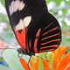 Image for article titled Shooting Challenge: Spring Gallery 2